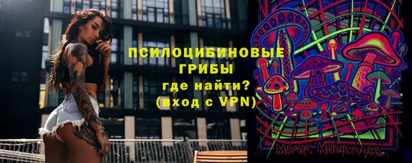 бошки Алексеевка