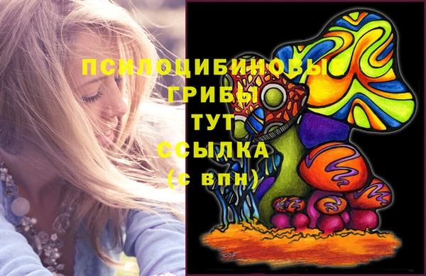 бошки Алексеевка